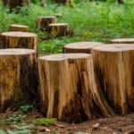 В Дагестане еще 30 гидов-экскурсоводов получили официальную аттестацию