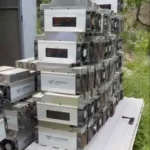 В Дагестане 10 частных клиник привлечены к ответственности за сокрытие отчетности по медицинским отходам