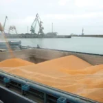 В Махачкале и Каспийске началась подготовка к строительству очистных сооружений
