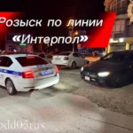 Индийские предприниматели выразили интерес к партнерству с Дагестаном