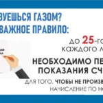 В Дербенте суд вынес приговор предпринимателю за оборот краснокнижной рыбы на сумму 6,5 млн рублей