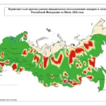 Два выпускника из Махачкалы получили по 100 баллов на ЕГЭ