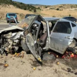 Боксеры Атаев и Гаджимагомедов выступят на турнире в Москве