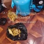Дагестанские пловцы выдвинулись на Первенство России