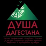 С начала года в Дагестане зафиксировано 836 ДТП