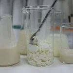 Арендаторы госимущества Дагестана будут получать уведомления через портал «Госуслуги»