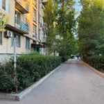 На подъезде к знаменитому аулу гончаров Балхар началась укладка асфальта