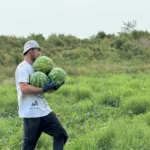 Коллектив Минпромторга Дагестана познакомили с новым руководителем