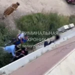 На гражданские инициативы дагестанцев по итогам грантового конкурса направят более 71 млн рублей