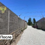 Таможенные органы введут контроль за оплатой проезда по платным дорогам иностранными перевозчиками