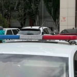 Абудулрашид Садулаев возобновил полноценные тренировки после травмы колена