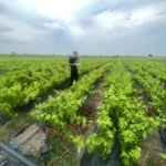 В Дагестане начались уроки газовой безопасности для школьников