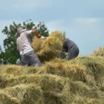 Паралимпиец Расул Назиров отдал свой голос на выборах депутатов Госдумы РФ и Народного Собрания РД