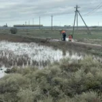 В Махачкале житель предстанет перед судом по обвинению в убийстве брата