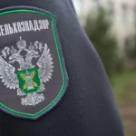 СберЛизинг поставит 54 новых автобусов в столицу Дагестана