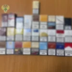 Школьники и студенты СПО смогут бесплатно освоить программирование в рамках нацпроекта