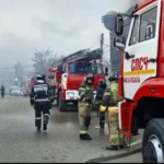 В Дагестане перекрыт транзит двух тонн запрещённых БАДов из Турции